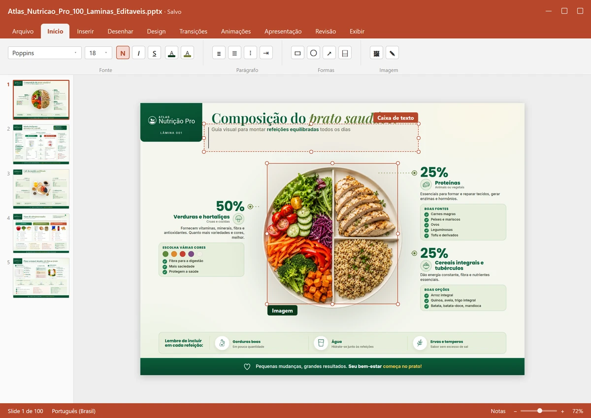 Lâmina do Atlas Visual de Nutrição Pro aberta em modo de edição, com uma caixa de texto e uma imagem selecionadas